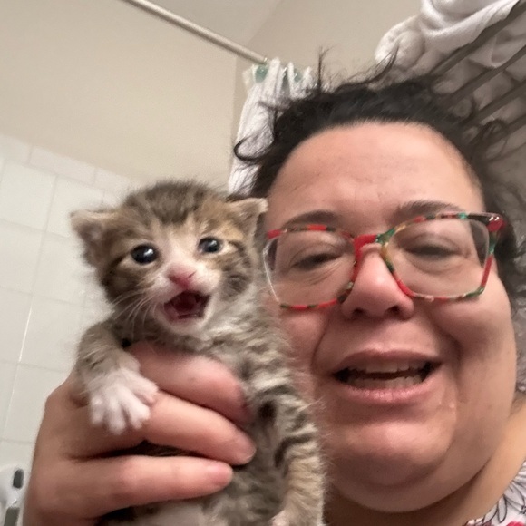 Meet your Posher, Liza - Picture 6 of 16